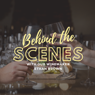 Behind the scenes at shelton vineyards
