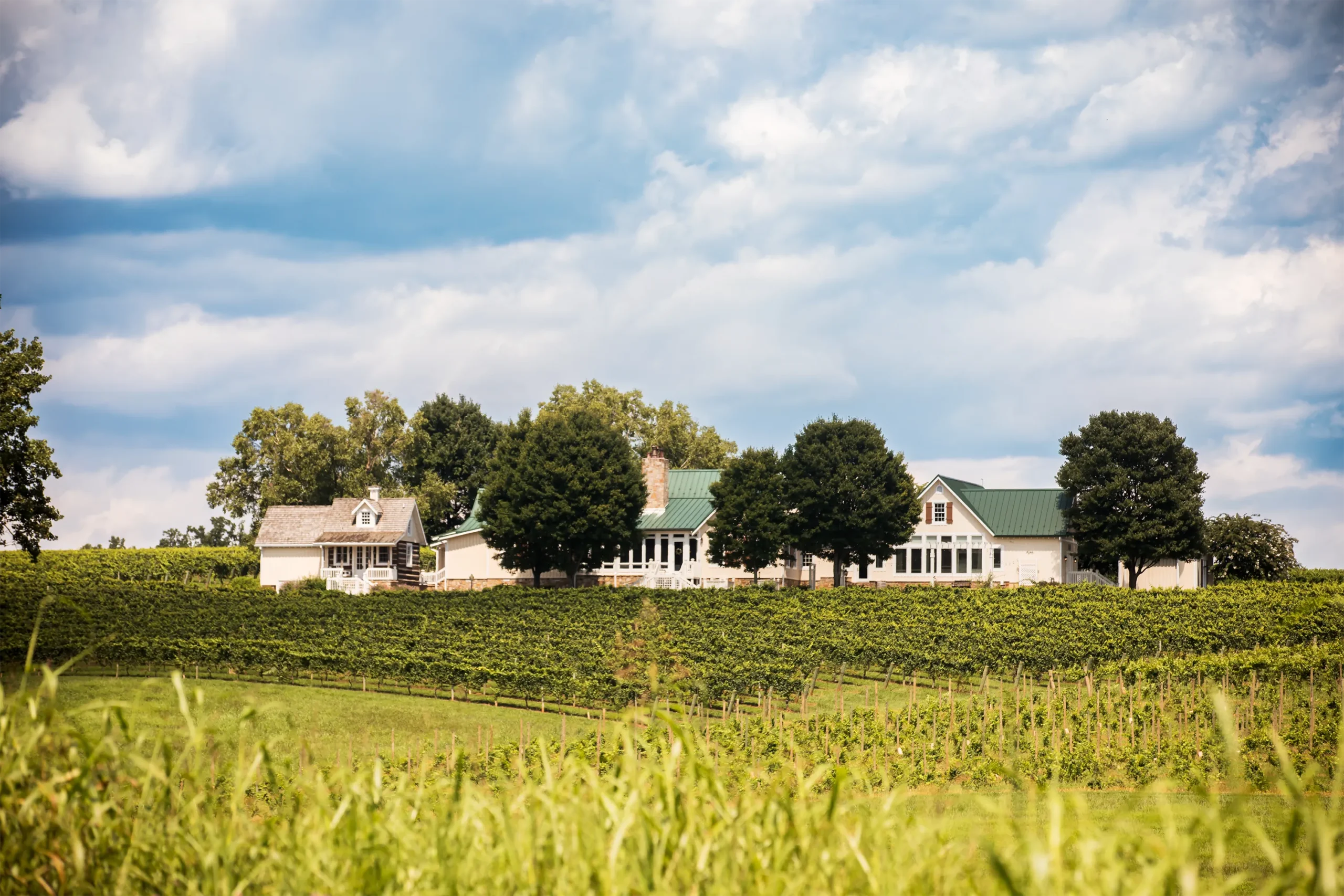 Shelton Vineyard winery and house