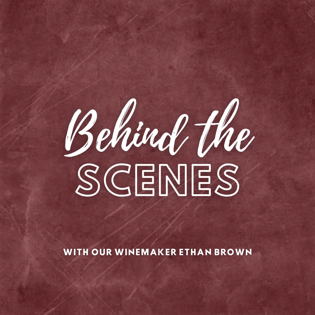 Behind the Scenes at Shelton Vineyards with Our Winemaker Ethan Brown