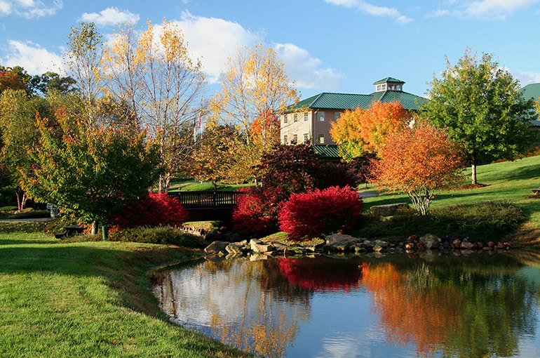 Shelton Vineyards in the Fall